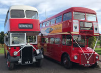 Vintages Buses